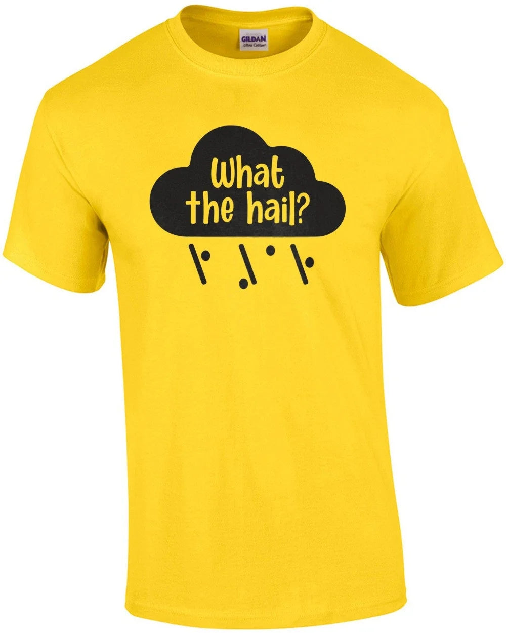 What The Hail? Funny Pun - Adult & Kids T-Shirts, Sweatshirts & Hoodies apparel design preview 1