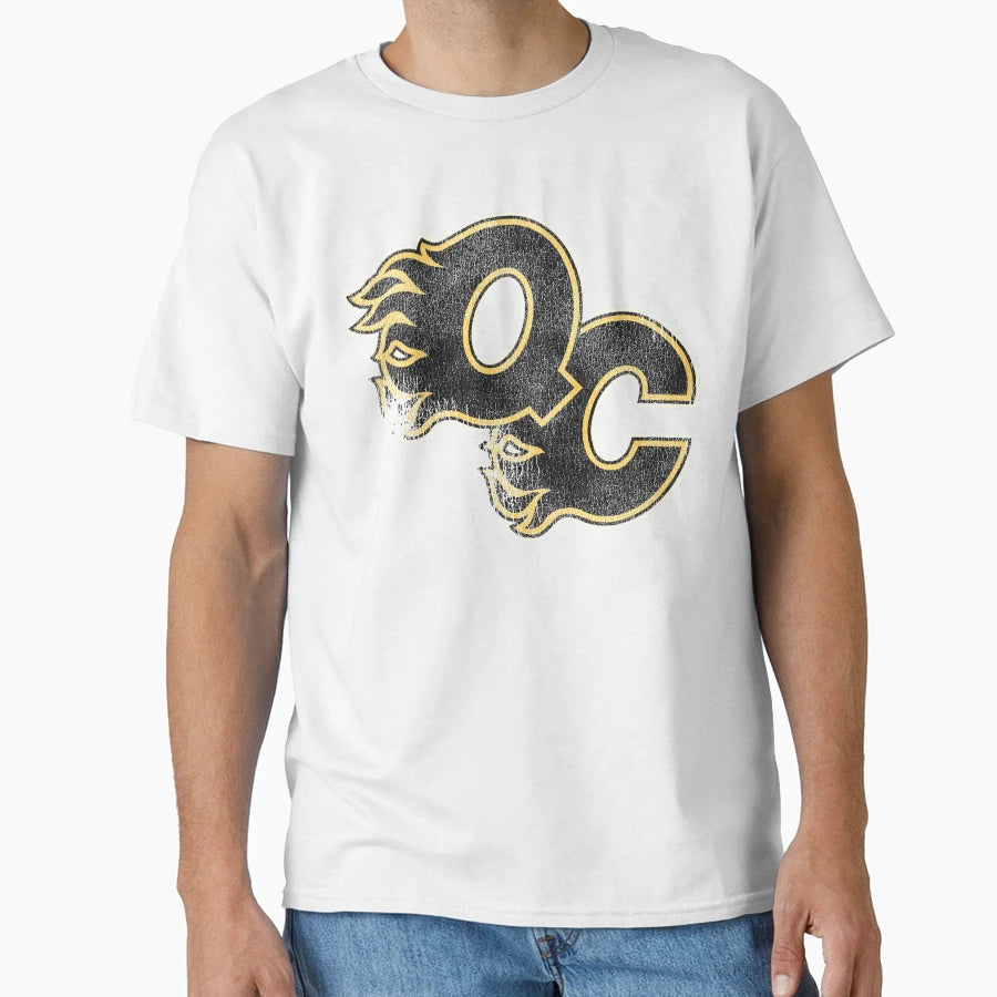 Quad City Flames T-Shirt - Aesthetic Graphic Men Women - T-Shirt, Sweatshirt, Hoodie