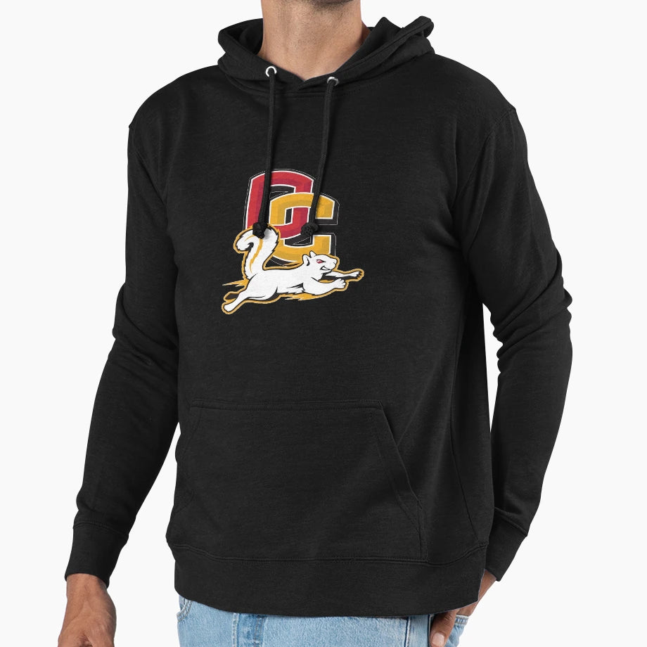 Oberlin College Hoodie - Unique Graphic for Adults - T-Shirt, Sweatshirt, Hoodie