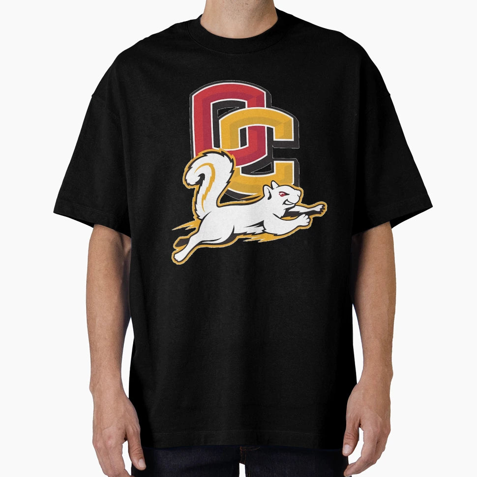 Oberlin College T-Shirt - Unique Graphic Men Women - T-Shirt, Sweatshirt, Hoodie