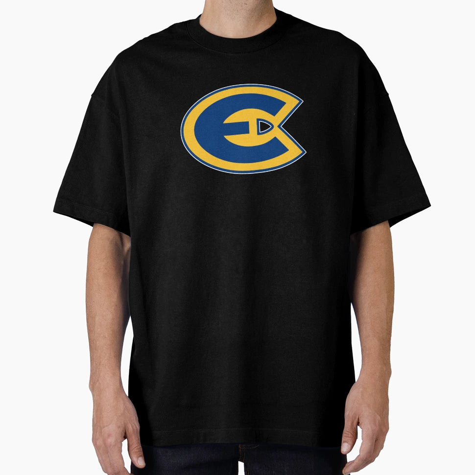 University Wisconsin Eau Claire T-Shirt - Aesthetic Graphic for Adults - T-Shirt, Sweatshirt, Hoodie