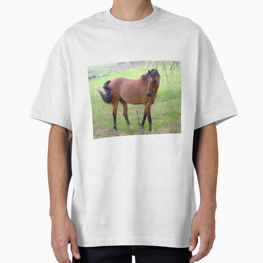 "The horse over fence". by simdantrine4 - Adult & Kids T-Shirts, Sweatshirts & Hoodies apparel design preview 1