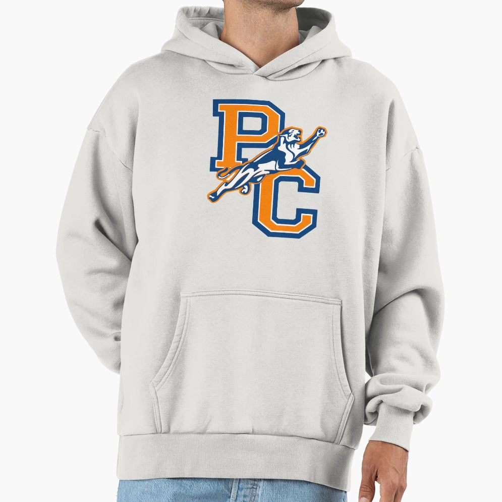 Purchase Panthers Hoodie - Casual Everyday Wear for Adults - T-Shirt, Sweatshirt, Hoodie