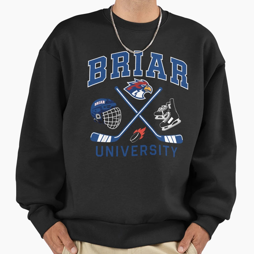 Off Campus Briar U Briar University Sweatshirt - Unique Graphic for Adults - T-Shirt, Sweatshirt, Hoodie