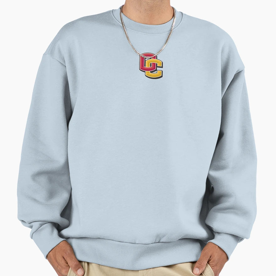 Oberlin College Sweatshirt - Novelty Apparel for Adults - T-Shirt, Sweatshirt, Hoodie