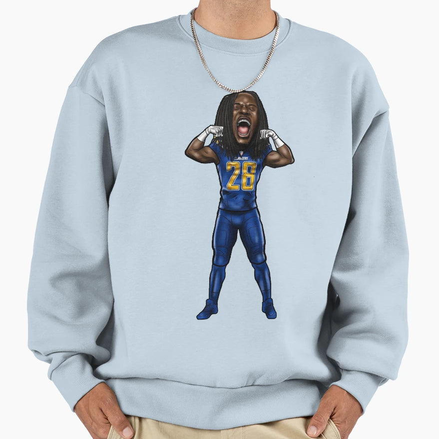 Gordon Sweatshirt - Novelty Apparel for Adults - T-Shirt, Sweatshirt, Hoodie
