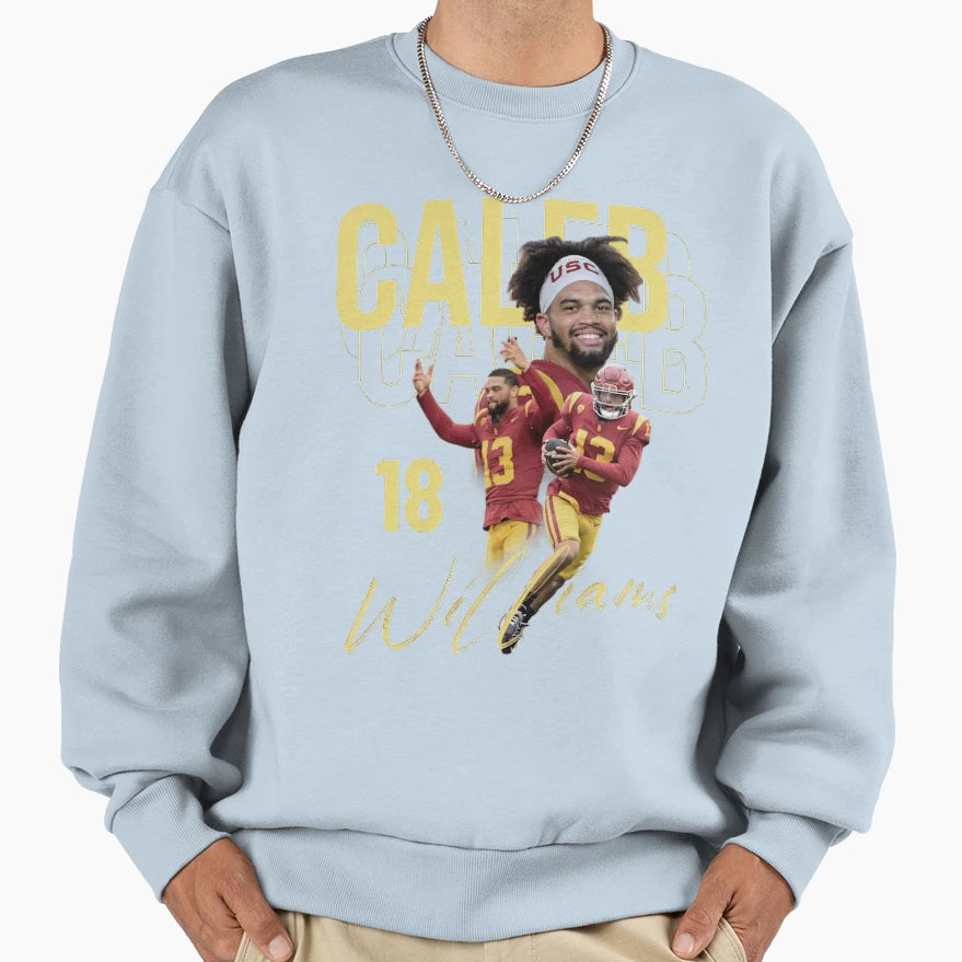 Popular Victory Moment Sweatshirt - Aesthetic Graphic for Adults - T-Shirt, Sweatshirt, Hoodie