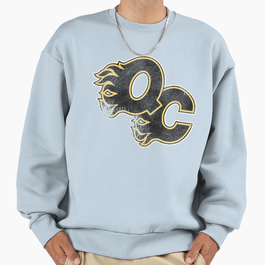 Quad City Flames Sweatshirt - Fun Novelty Design for Adults - T-Shirt, Sweatshirt, Hoodie
