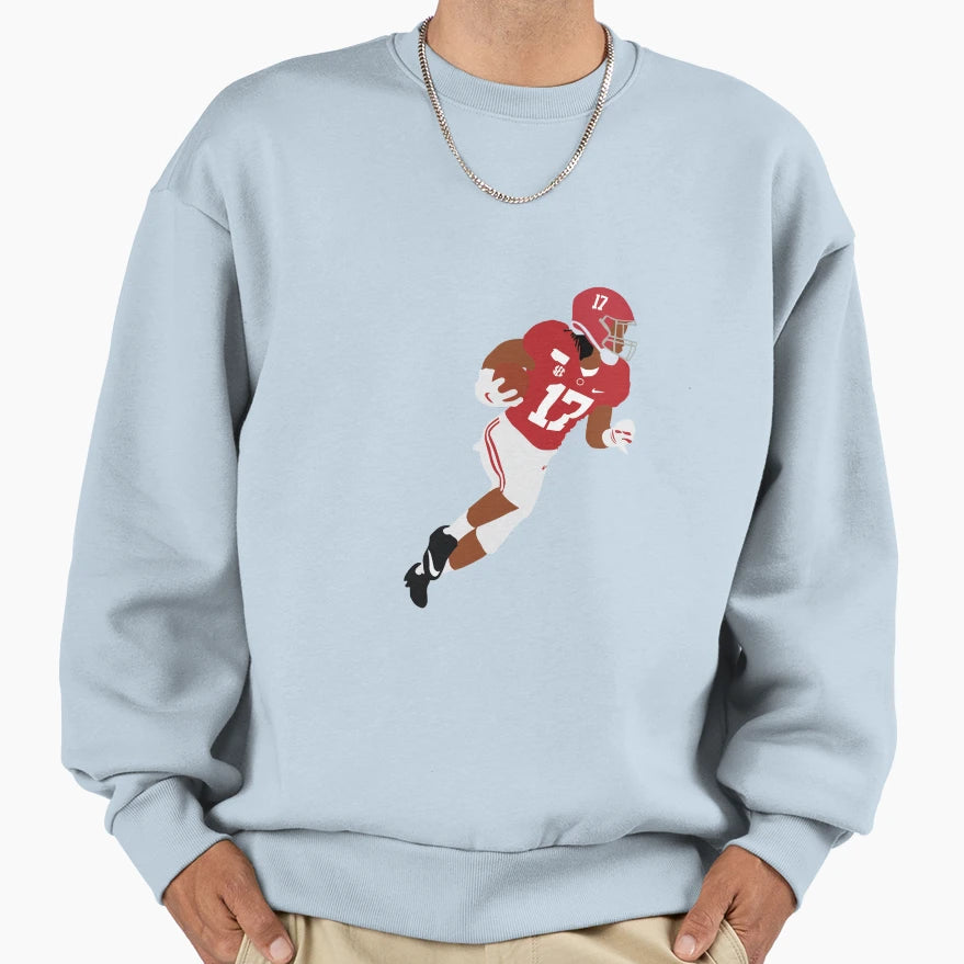 17 Jaylen Waddle Sweatshirt - Custom Art Print for Adults - T-Shirt, Sweatshirt, Hoodie