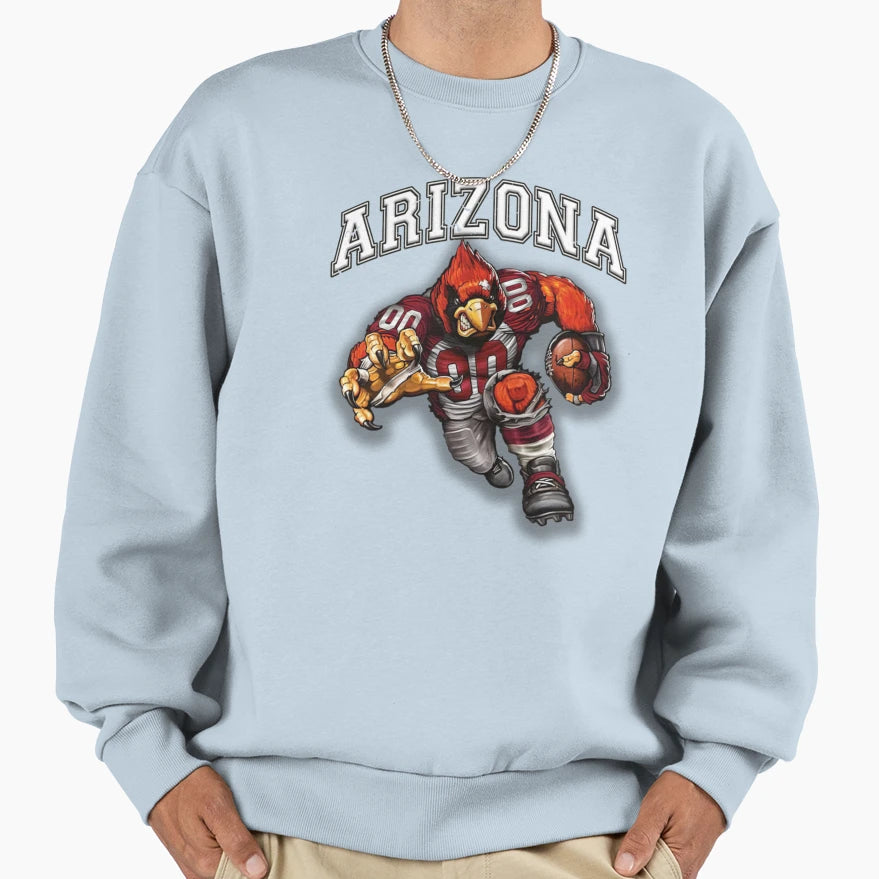 Arizona Football Detroit Sweatshirt - Fun Novelty Design for Adults - T-Shirt, Sweatshirt, Hoodie