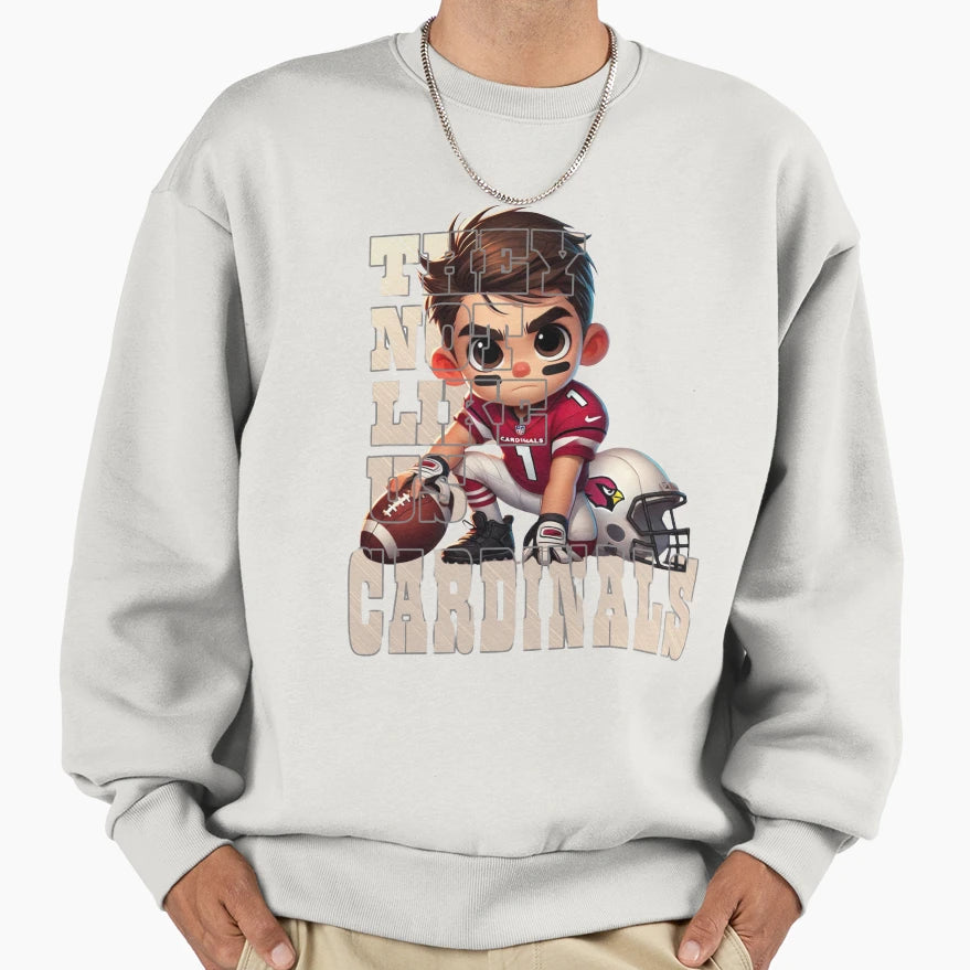 Arizona Cardinals They Not Like Us Sweatshirt - Trendy Graphic Unisex - T-Shirt, Sweatshirt, Hoodie