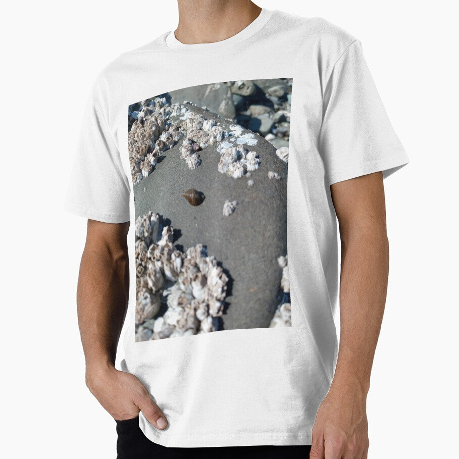 Sea snail shell on rock by WildNature129 - Adult & Kids T-Shirts, Sweatshirts & Hoodies apparel design preview 1