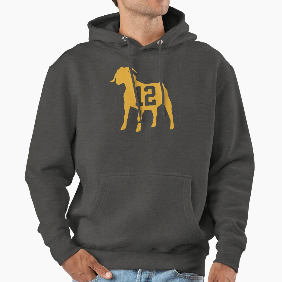 Custom Aaron Rogers Green Bay Packers Hoodie - Unique Graphic for Adults - T-Shirt, Sweatshirt, Hoodie