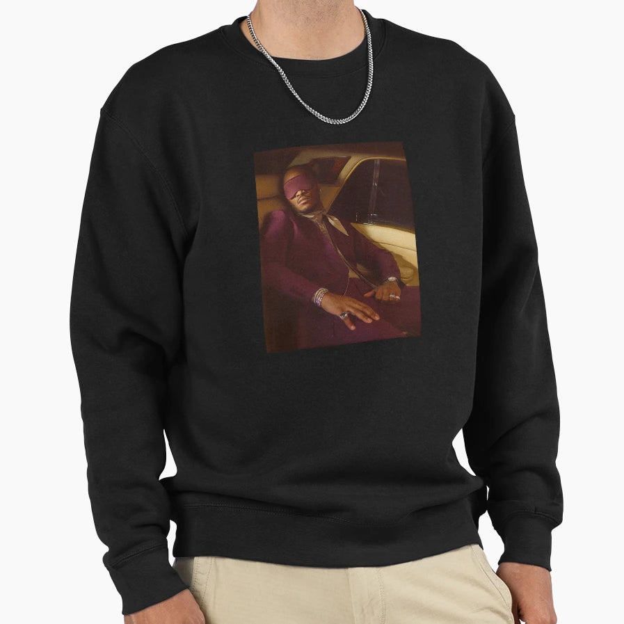 Future I Never Liked You Sweatshirt - Novelty Apparel for Adults - T-Shirt, Sweatshirt, Hoodie