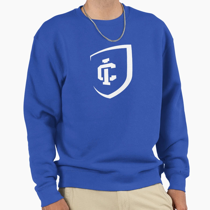Ithaca College Sweatshirt - Fun Novelty Design for Adults - T-Shirt, Sweatshirt, Hoodie