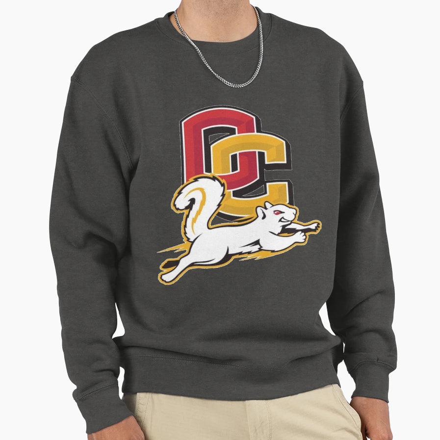 Oberlin College Sweatshirt - Graphic Print for Adults - T-Shirt, Sweatshirt, Hoodie