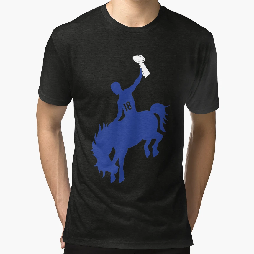 Last Rodeo T-Shirt - Fun Novelty Design for Adults - T-Shirt, Sweatshirt, Hoodie