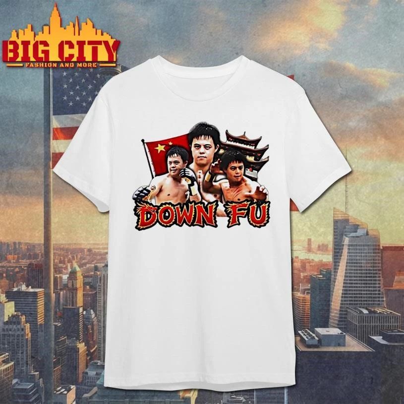 Kung Fu Down Meme Funny - Adult & Kids T-Shirts, Sweatshirts & Hoodies apparel design preview 1