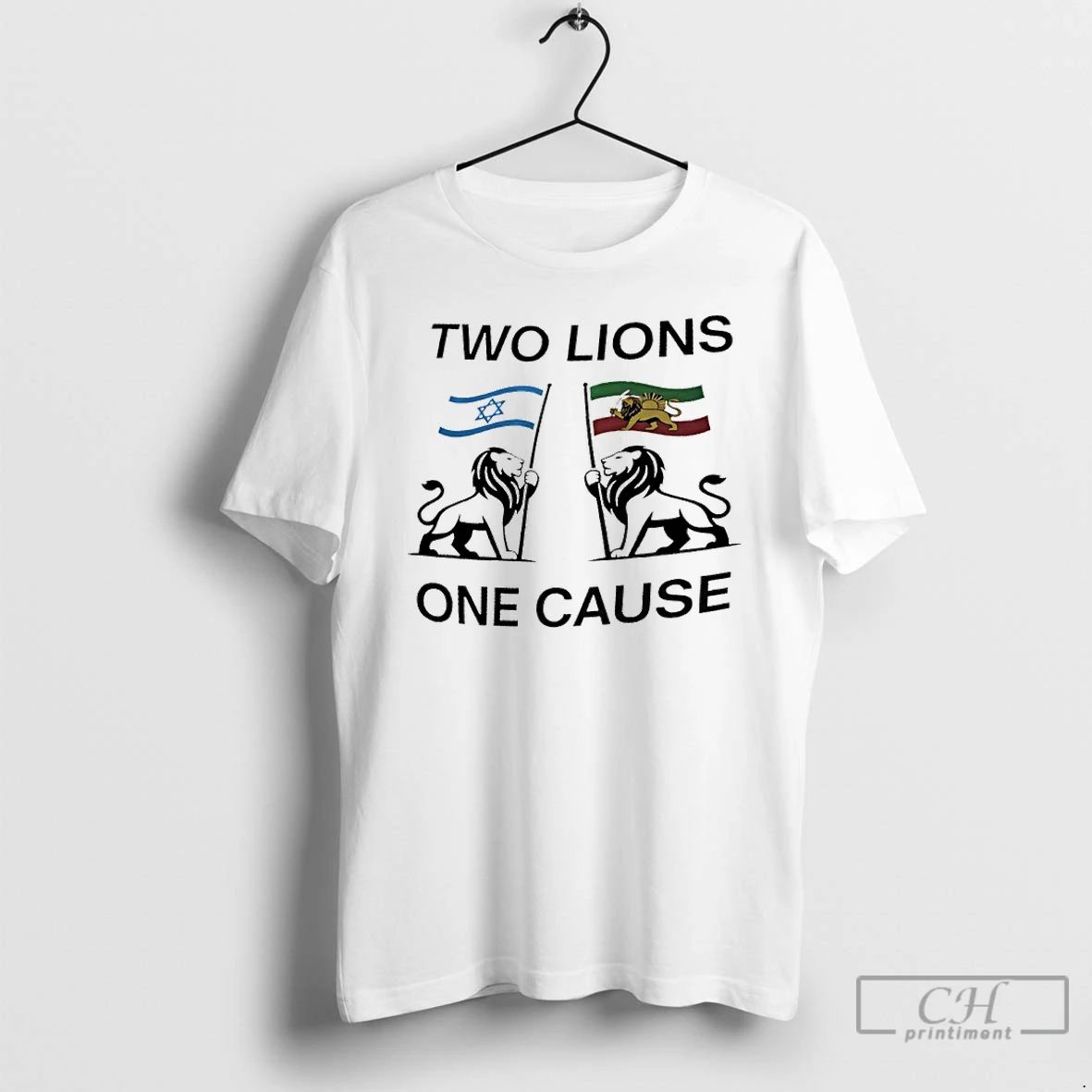 Classic Two Lions One Cause Israel Iran Flag - Adult & Kids T-Shirts, Sweatshirts & Hoodies apparel design preview 1