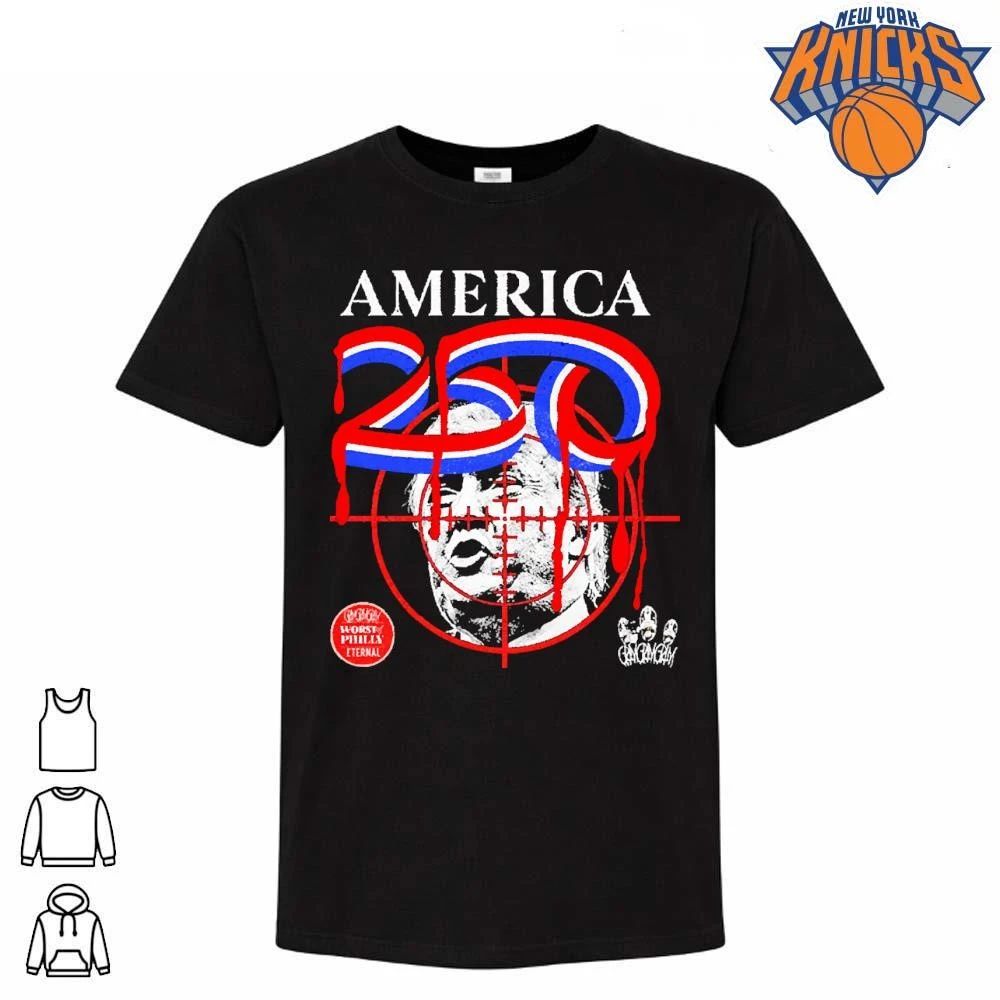 Donald Trump America 250 Crosshair Target Worst of - Adult & Kids T-Shirts, Sweatshirts & Hoodies apparel design preview 1